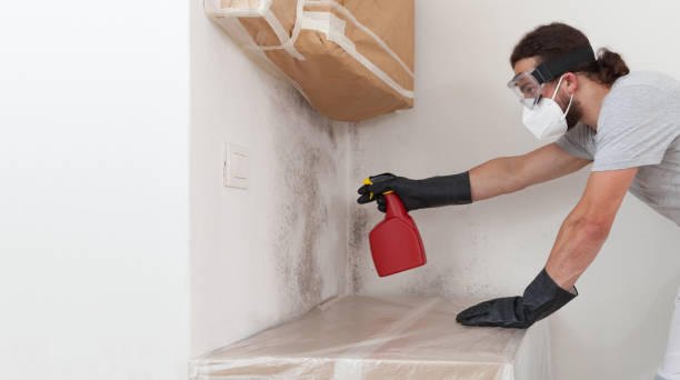 Professional Mold Remediation technician working in Highlands, TX